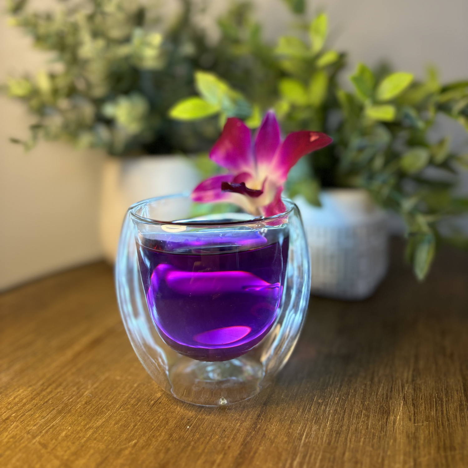 Pure Blue Pea Flower